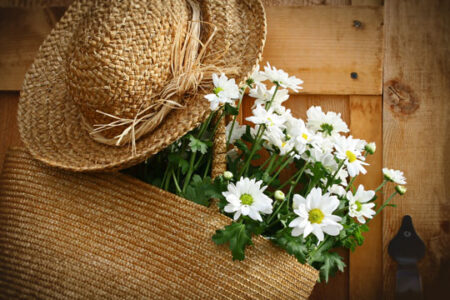Market Farmers Share How They Deal With the Heat Image